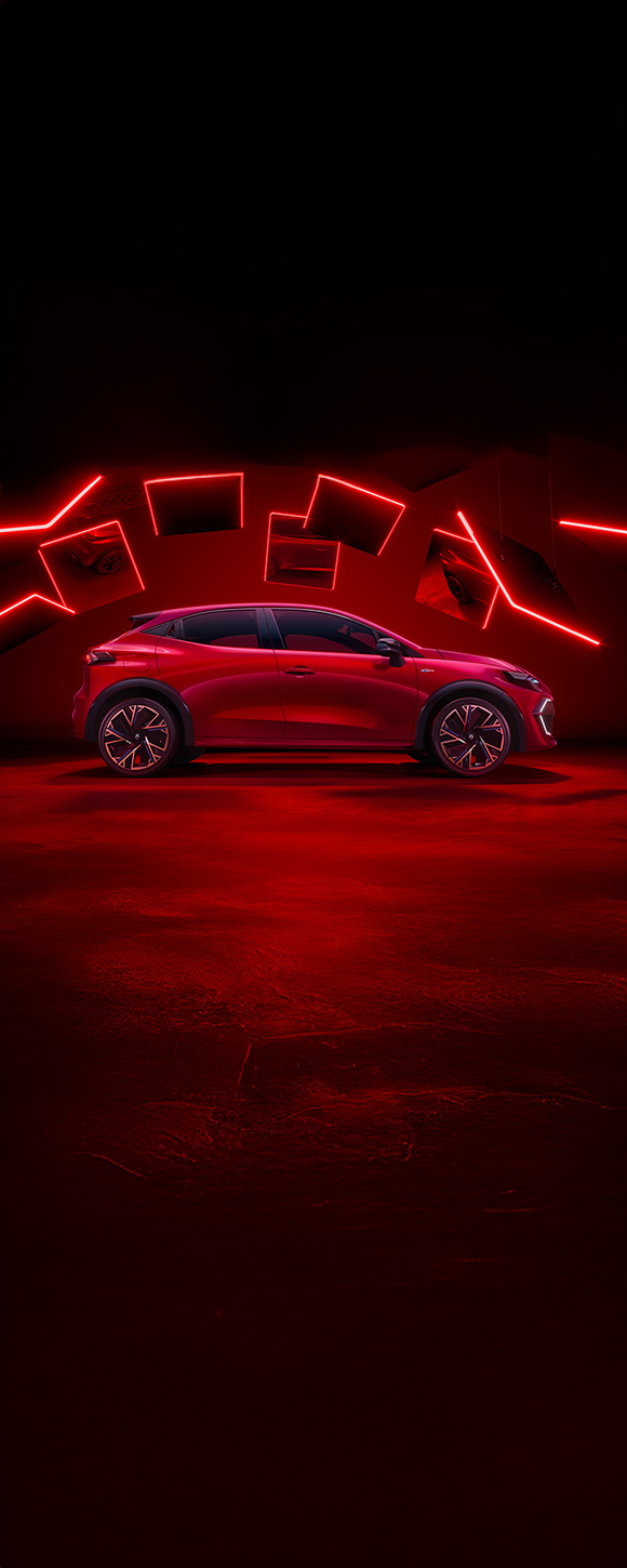 Renault Clio Professionnel