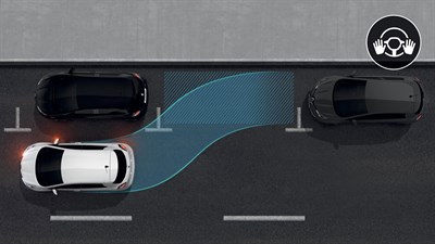 Renault ZOE Parking main libre